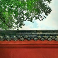 空妙有