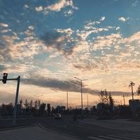 逢人Shu爱