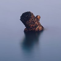 仙仙仙儿