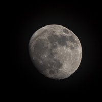 背着吉他的喵星人