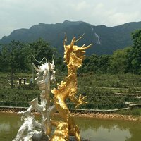 lc迟迟年月