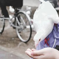 甜甜甜姐
