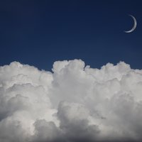 菜鸟入门一级