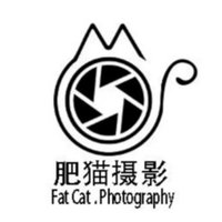 肥猫摄影