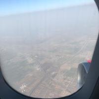 悟空爱钉耙