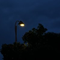 王爱巴斯光年