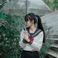 王大锤的梧桐树