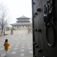 橙子798