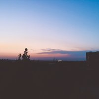 杨杨R