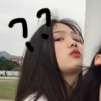 freedom郑能量