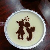 摄影师155834495390925