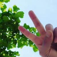 孤芳自伤