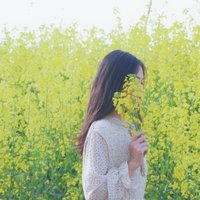 北方姑娘的邮局28
