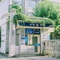 自渡YOLO