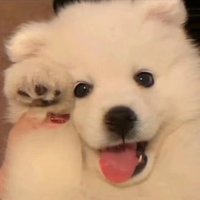 给你两颗西柚
