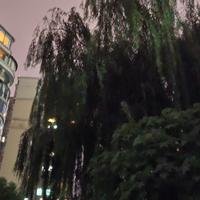 摄影师155875767008983