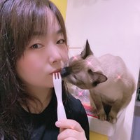 大猫猫猫猫