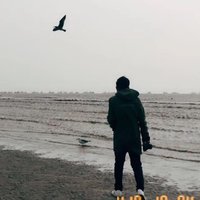 拾柒是半仙儿