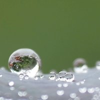 上膳若水