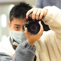 哲猪