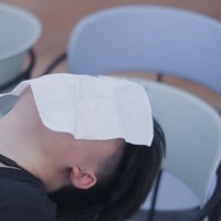 Nemo是只猫