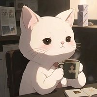 爱拍照的小糖童靴