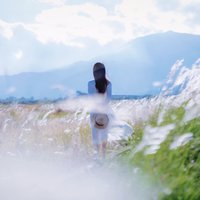 崔霖