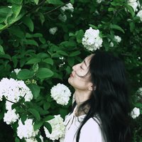 海盐荔枝_