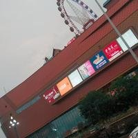 摄影师155952247441934