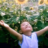 柯乐儿