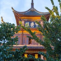 黑夜星光1