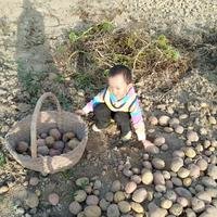 摄影师155958066915695