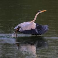 风云路