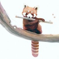 沧浪一影