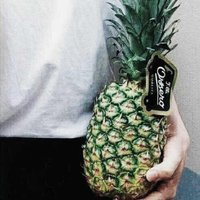 林鹿更生